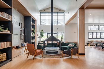 Lounge and library